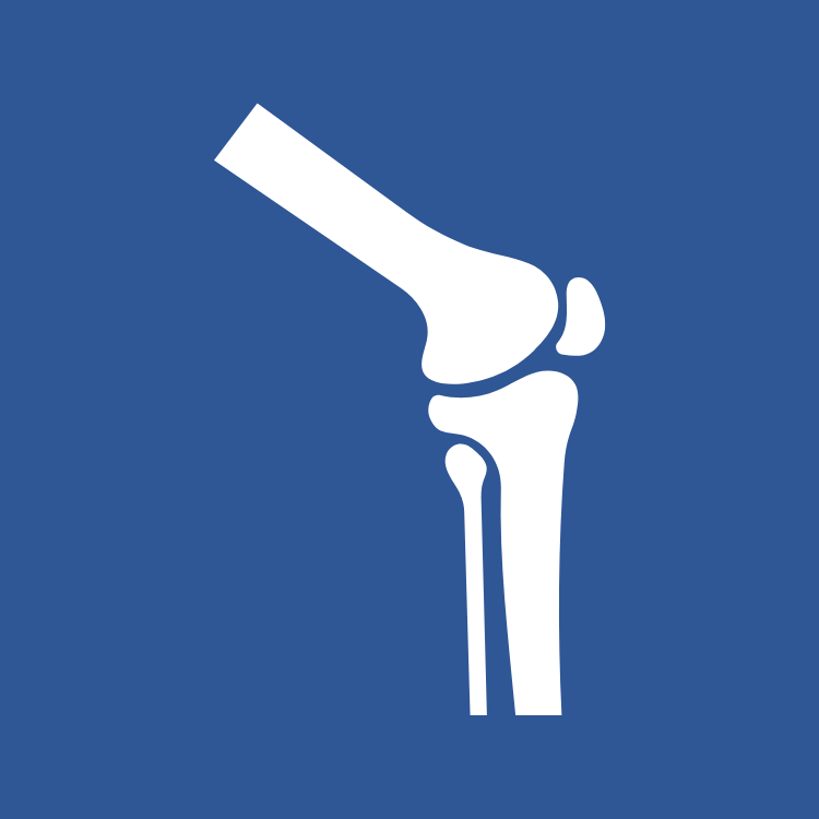 This is an icon of a simplified knee x-ray on a blue background.