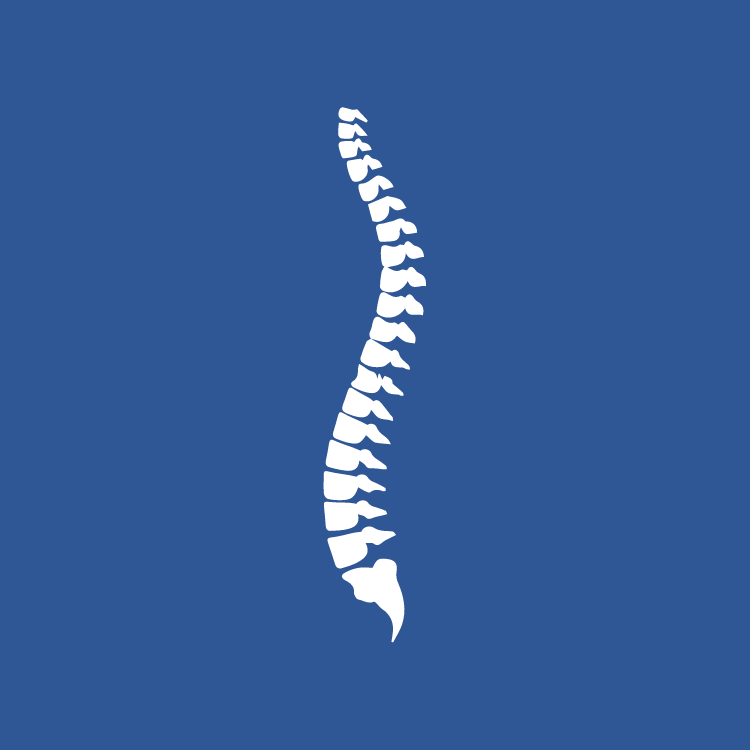 This is an icon of a simplified spine x-ray on a blue background.