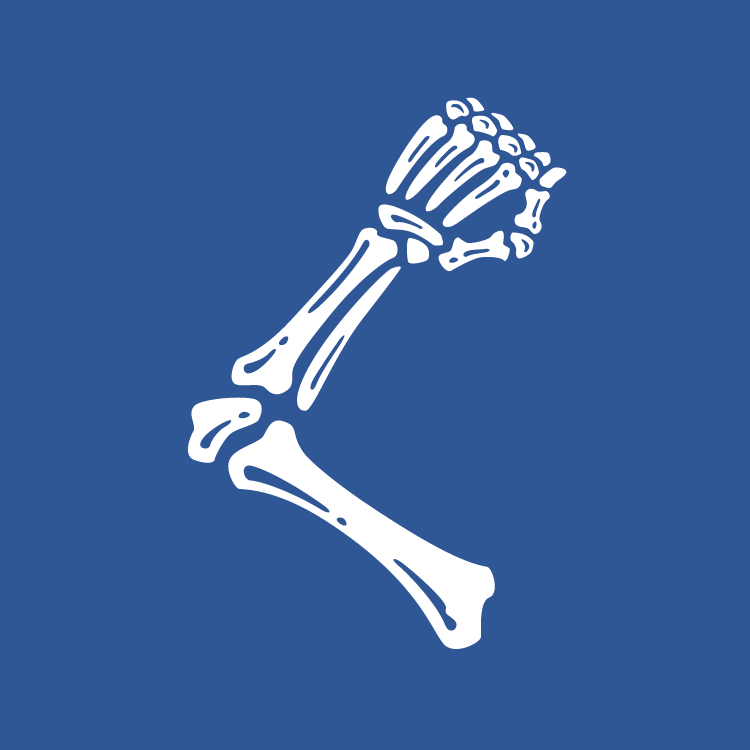 This is an icon of a simplified arm and hand x-ray on a blue background.