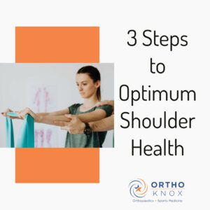 exercises for the shoulder